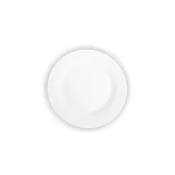 PRATO DE MESA 24CM BIONA