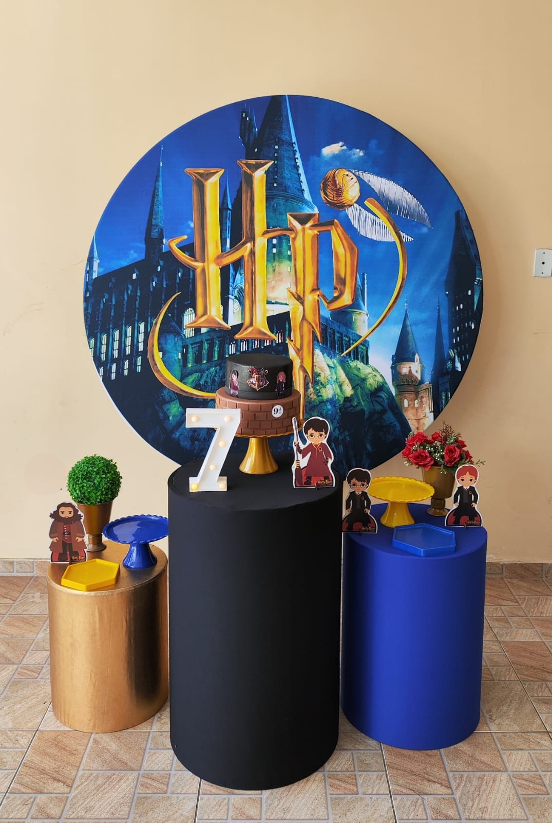 Harry Potter Menina Kit Prata