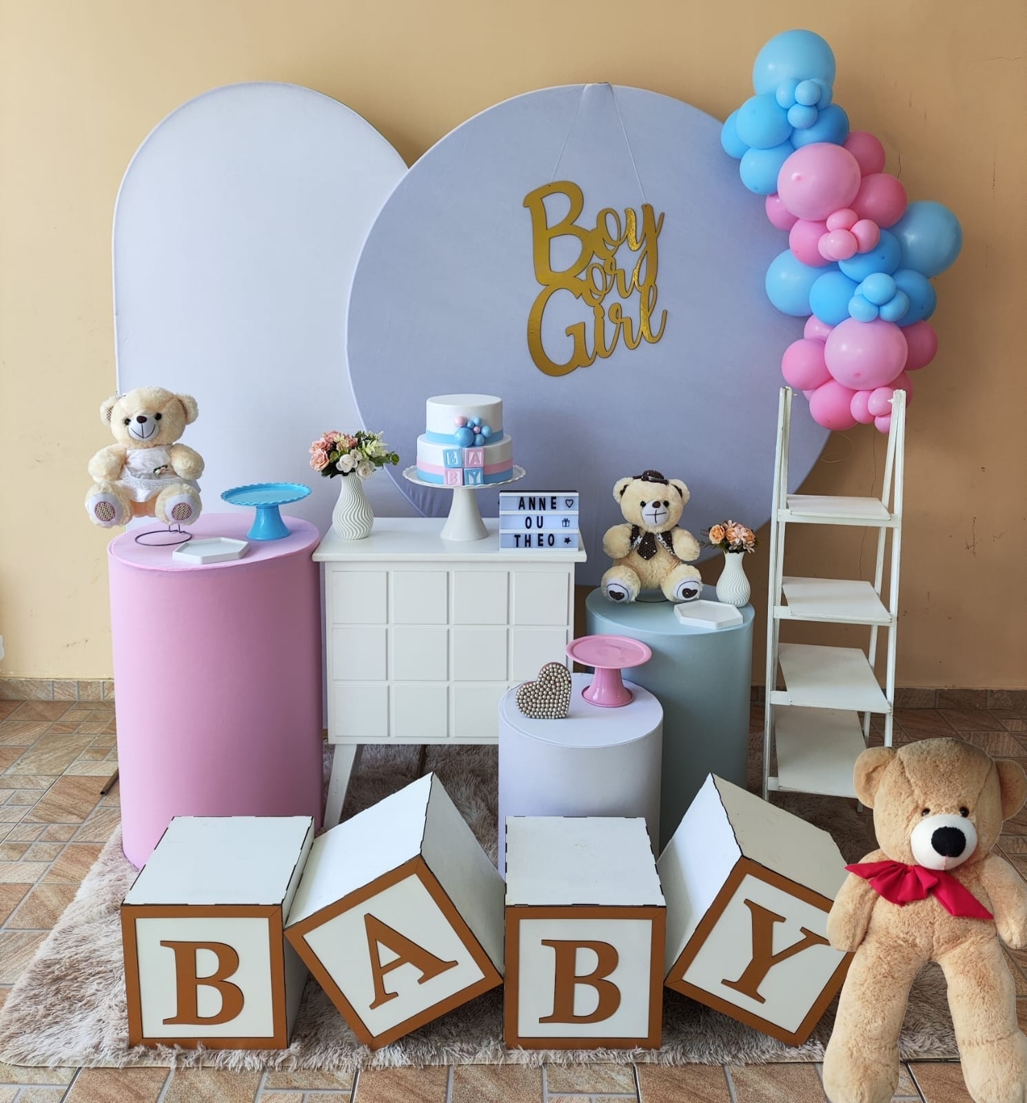 Chá Revelação Liso Rosa e Azul Claro Kit Plat