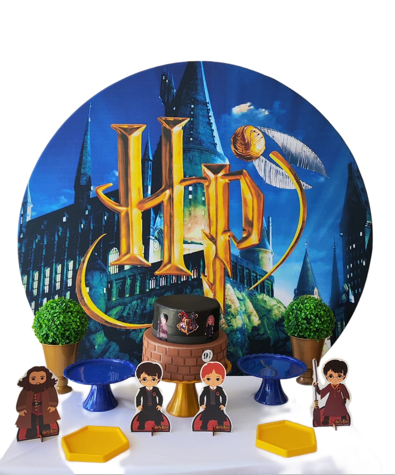 Harry Potter Menino Kit Bronze