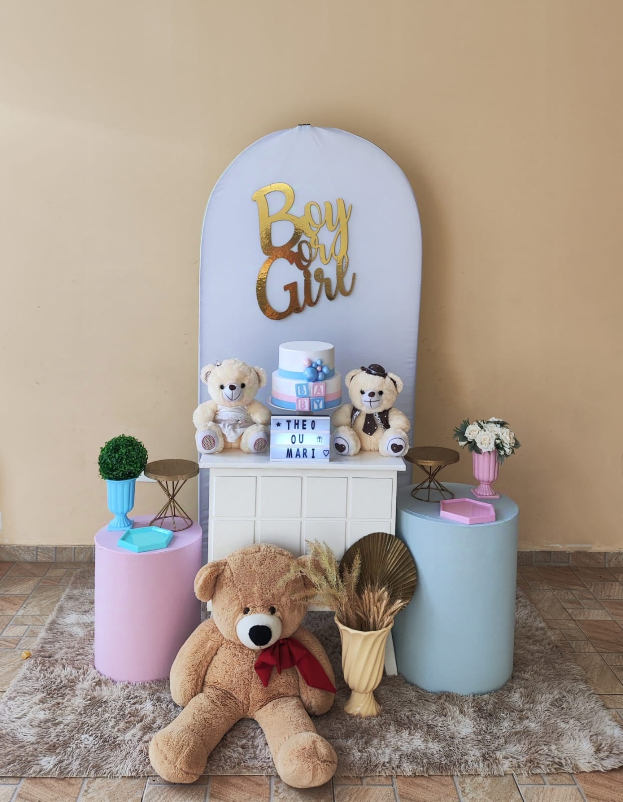 Chá Revelação Liso Rosa e Azul Claro Kit Bonz