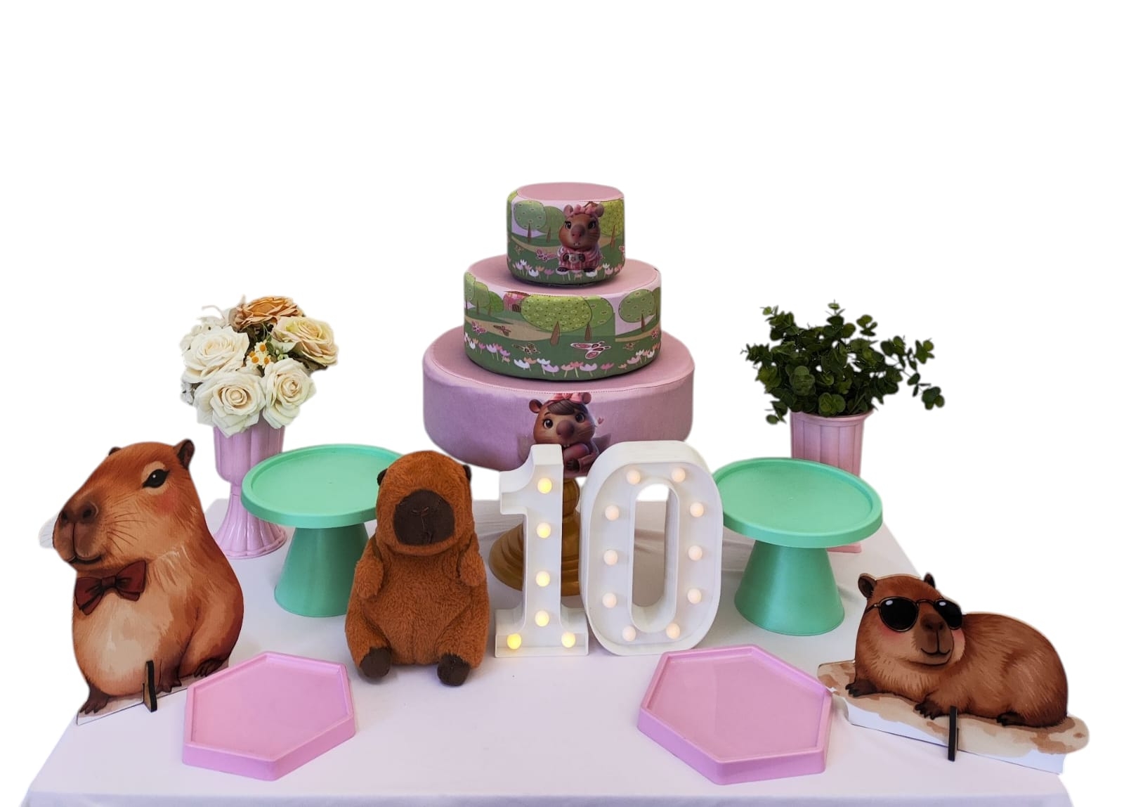 Capivara Kit Cantinho 