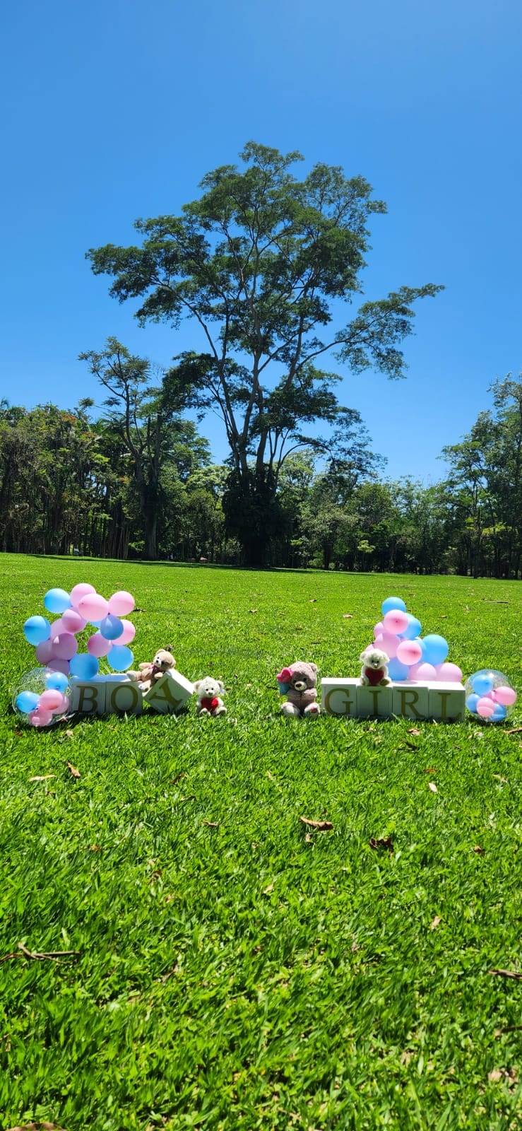 Chá Revelação com Bexigas e Cubos Kit Diamant