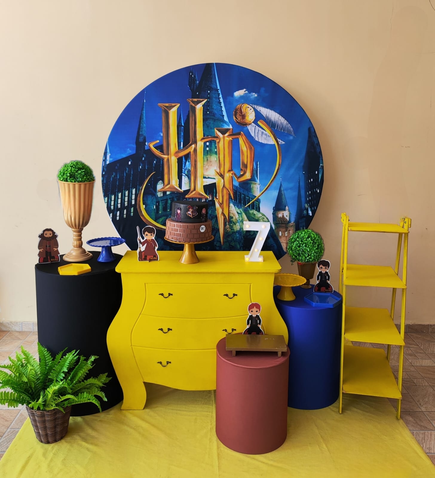 Harry Potter Menino Kit Ouro