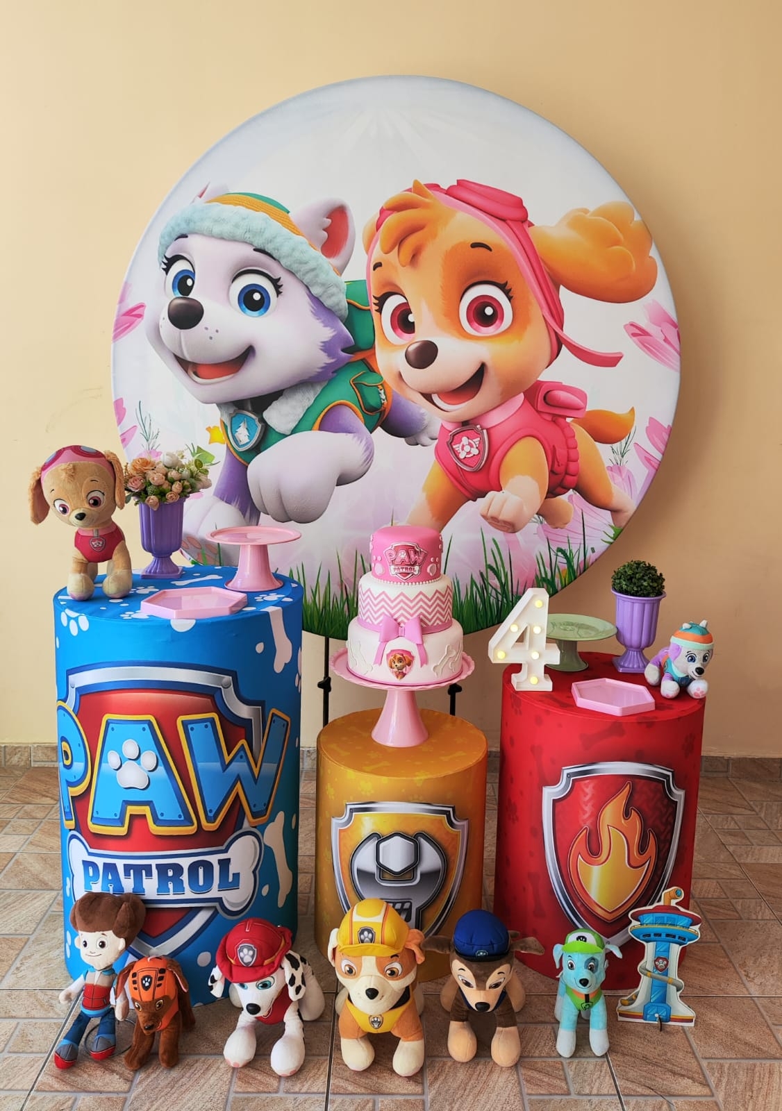 Skye e Everest Kit Prata