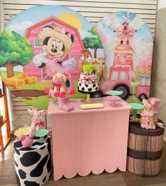 KIT MINNIE FAZENDEIRA LUXO