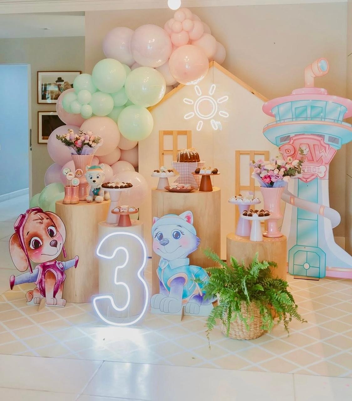 Kit Patrulha Canina Rosa