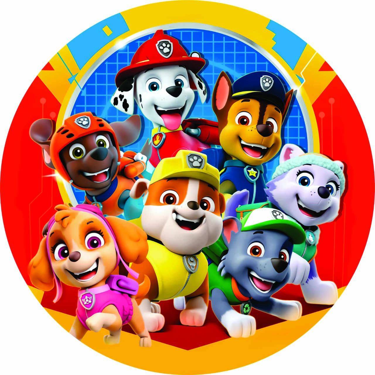 Painel Patrulha Canina Unisex