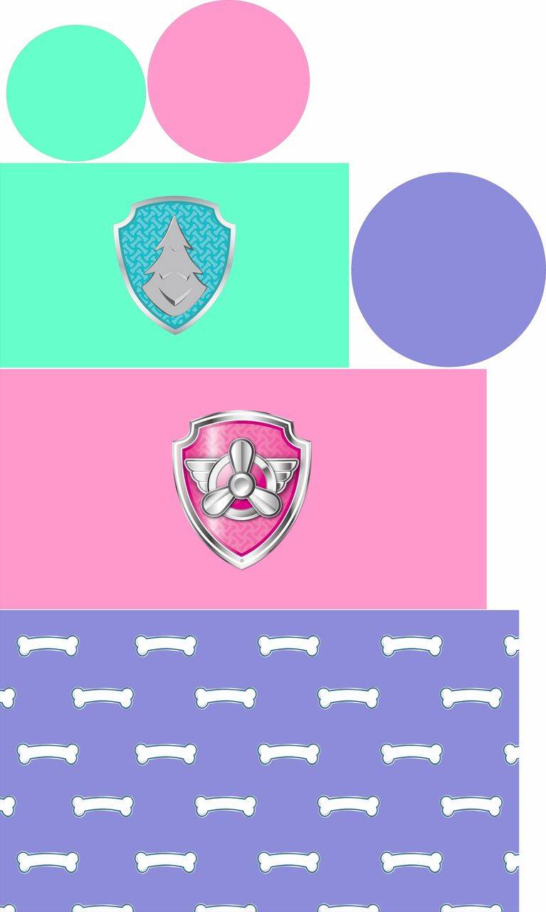 Cilindro Patrulha Canina Candy Collors