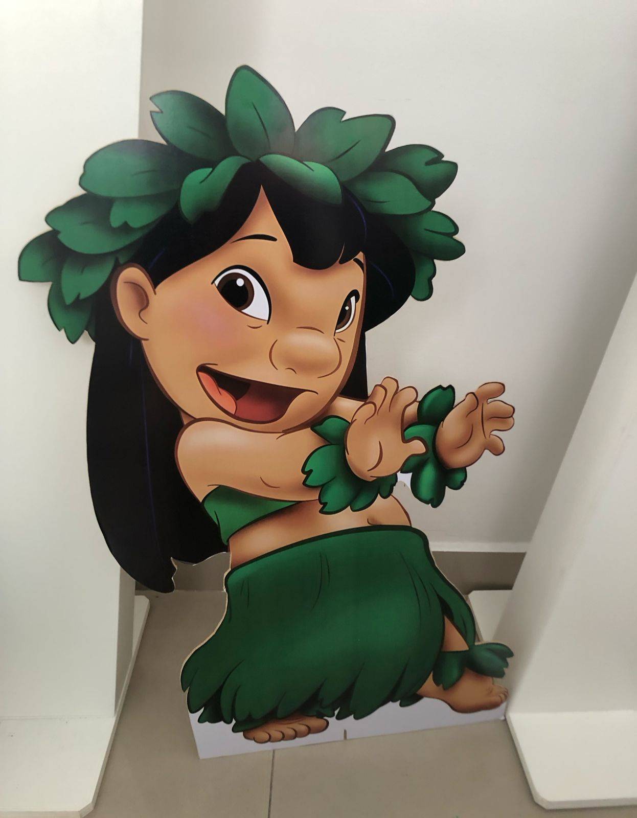 Display Lilo MDF