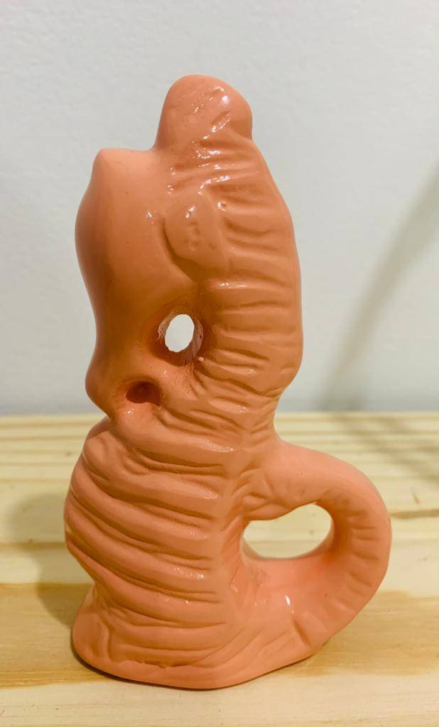 Cavalo Marinho Salmão