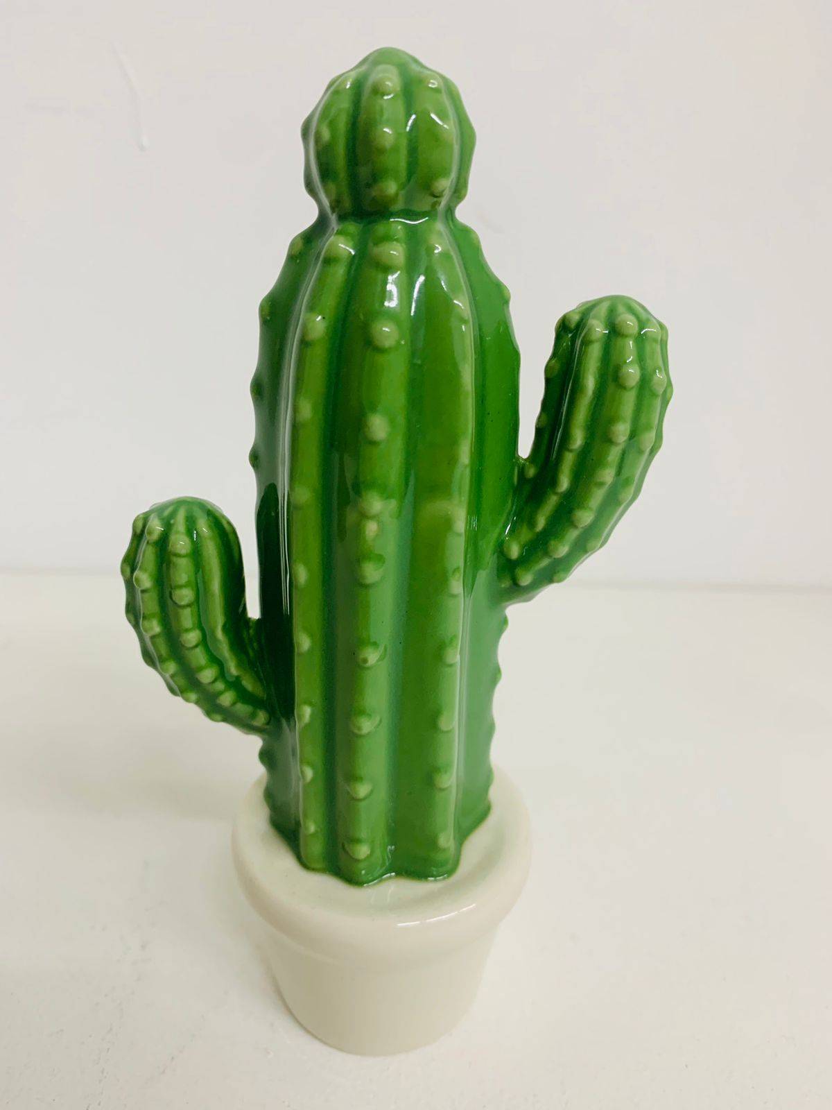 Cacto Porcelana com  vaso