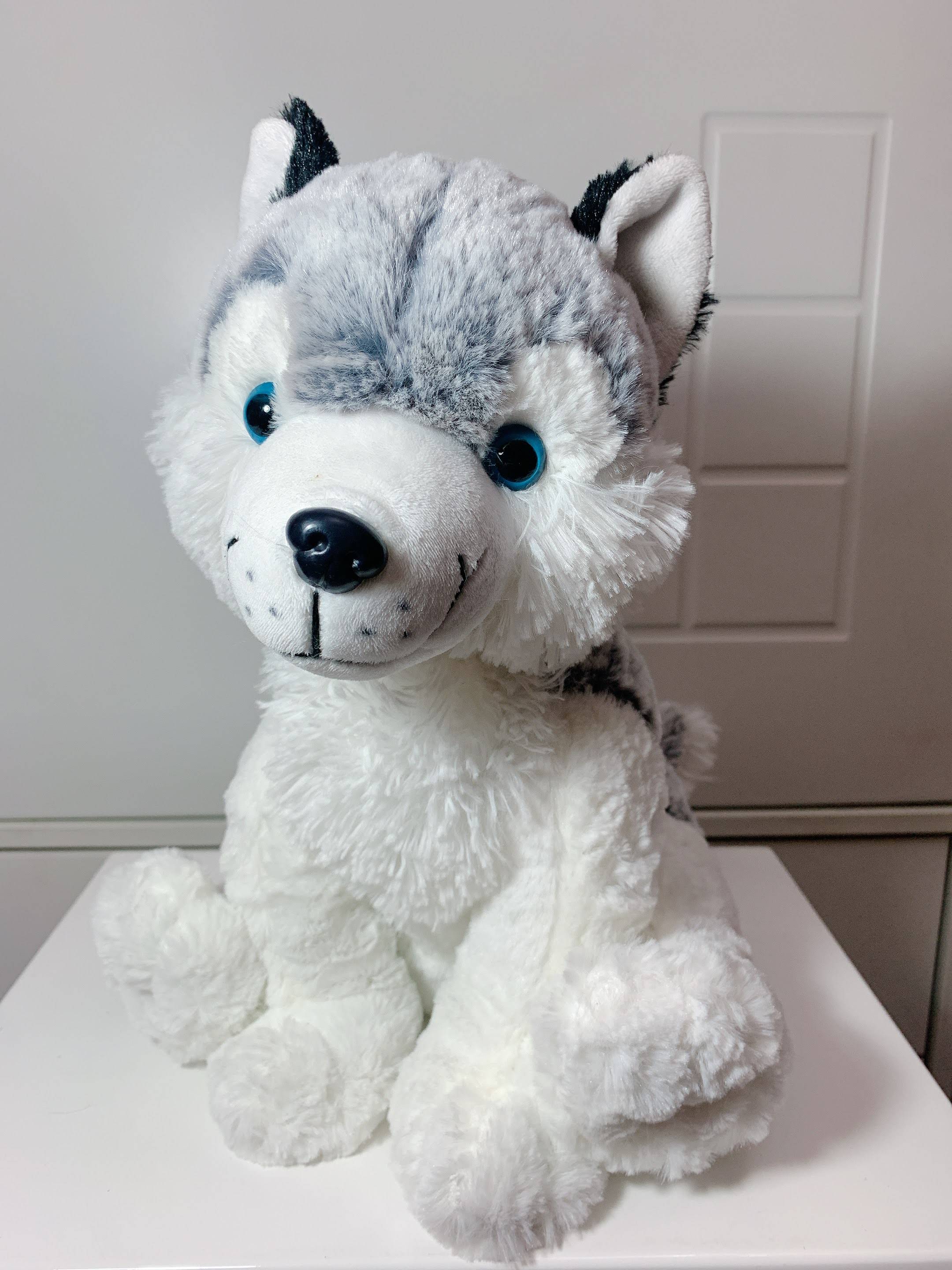 Cachorro Husky Pelúcia