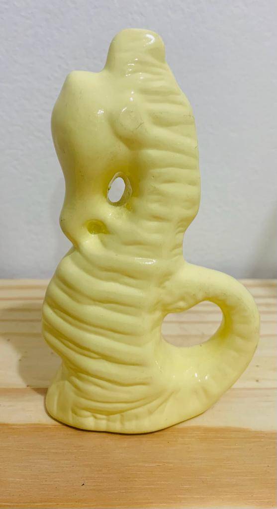 Cavalo Marinho Amarelo