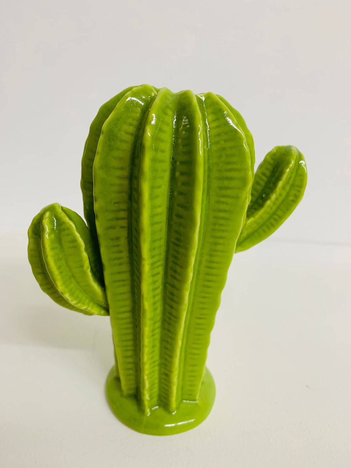 Cacto Porcelana sem vaso