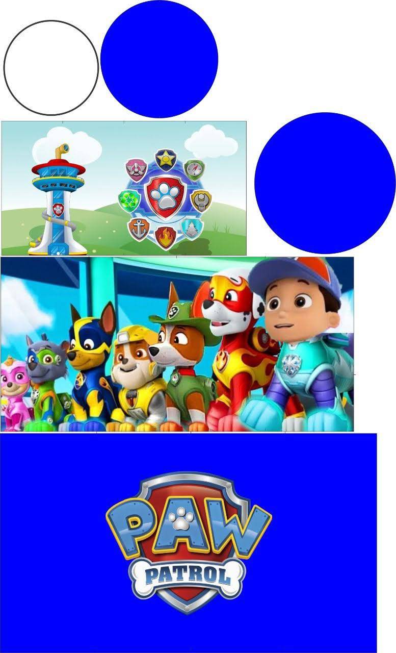 Cilindro Patrulha canina Unisex