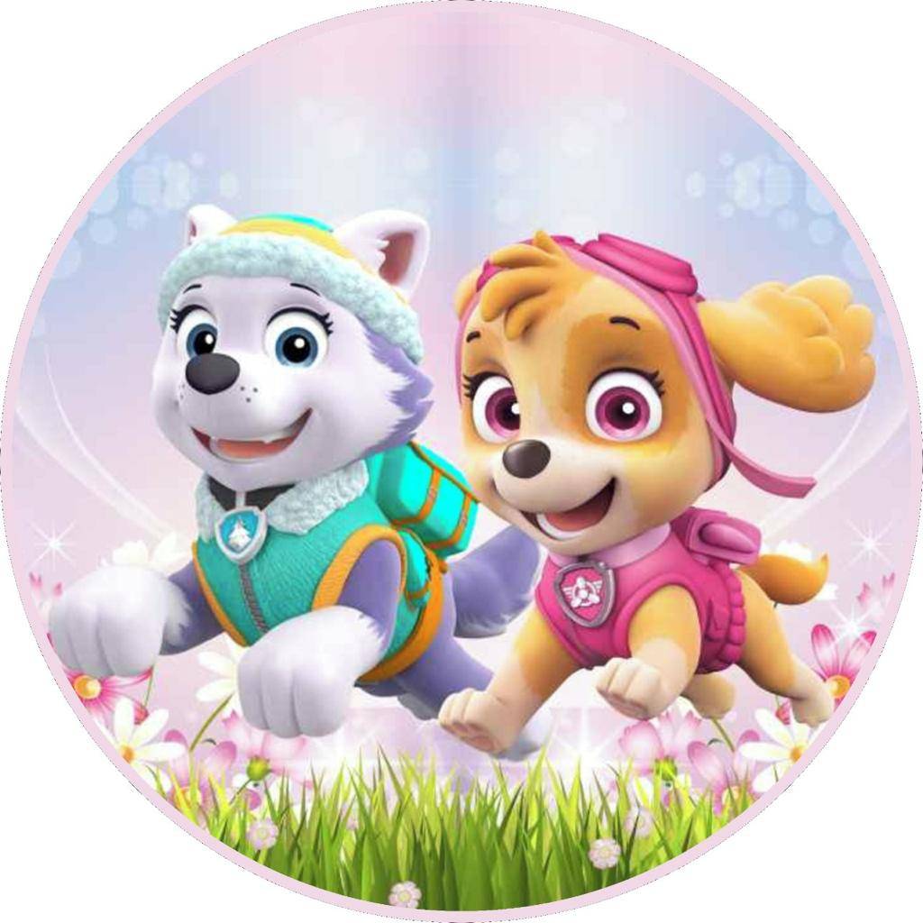 Painel Patrulha Canina Candy Collors