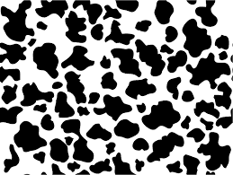 Capa Cilindro Vaca M