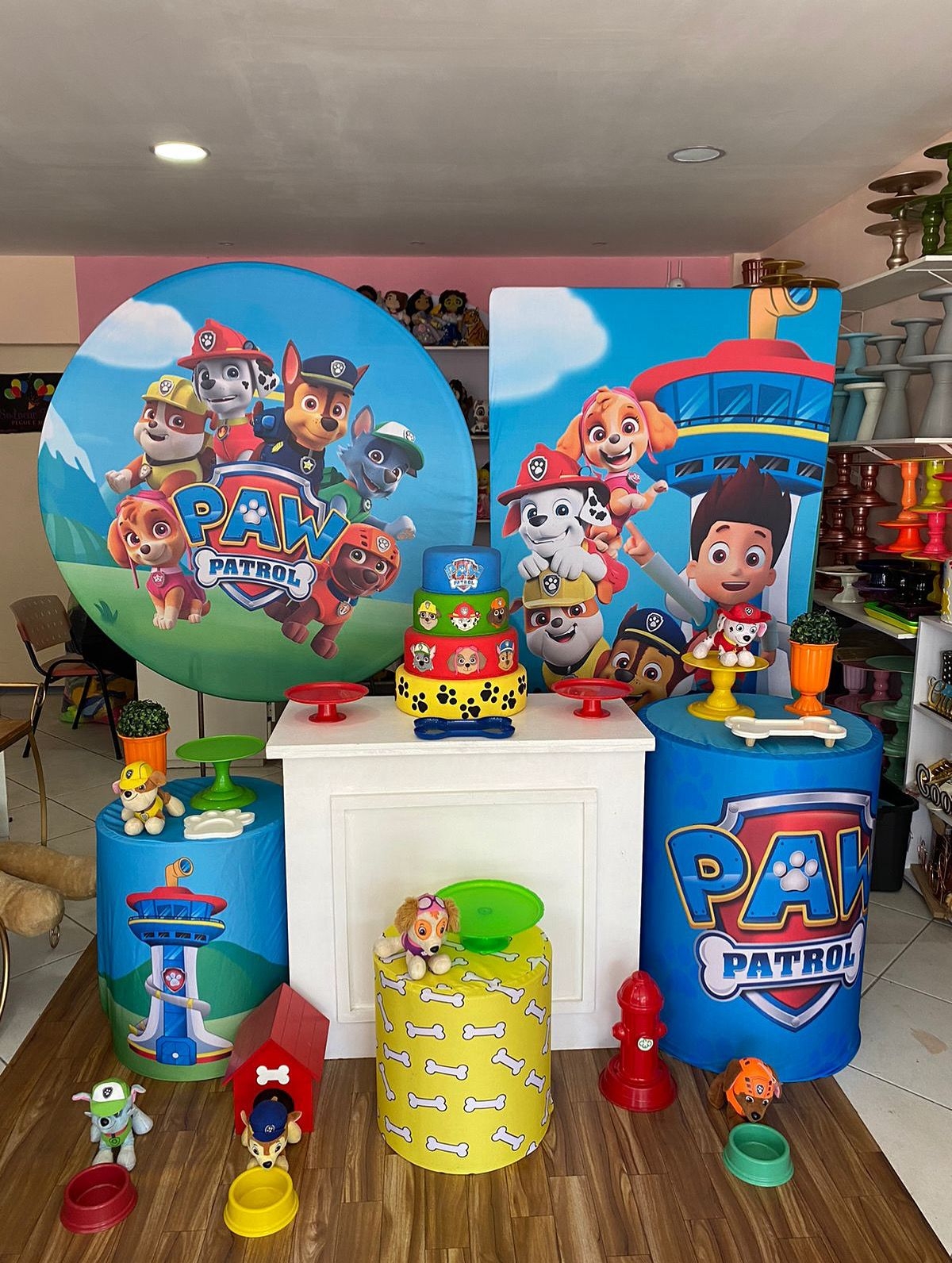 patrulha canina 2025