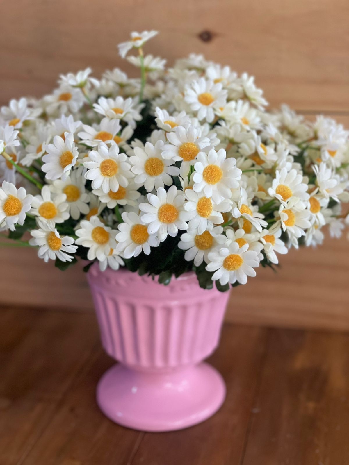 Arranjo Margarida | Sem Vaso