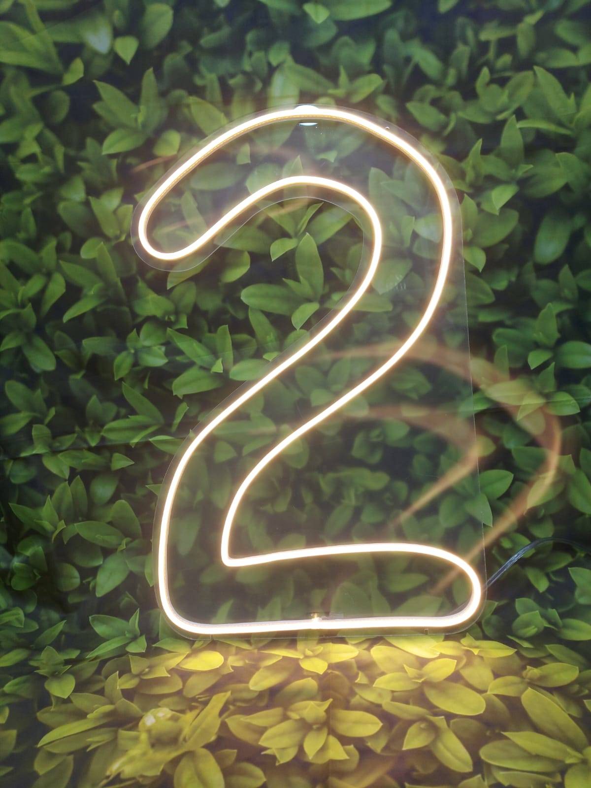 LED NUMERO 2